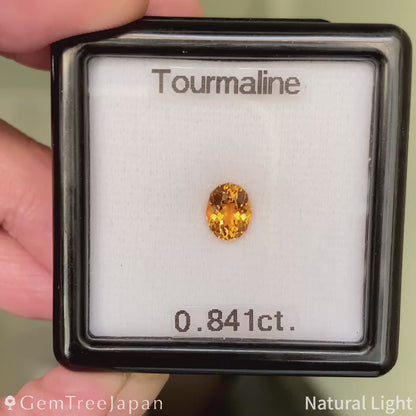 Tourmaline 0.841ct / Tanzania