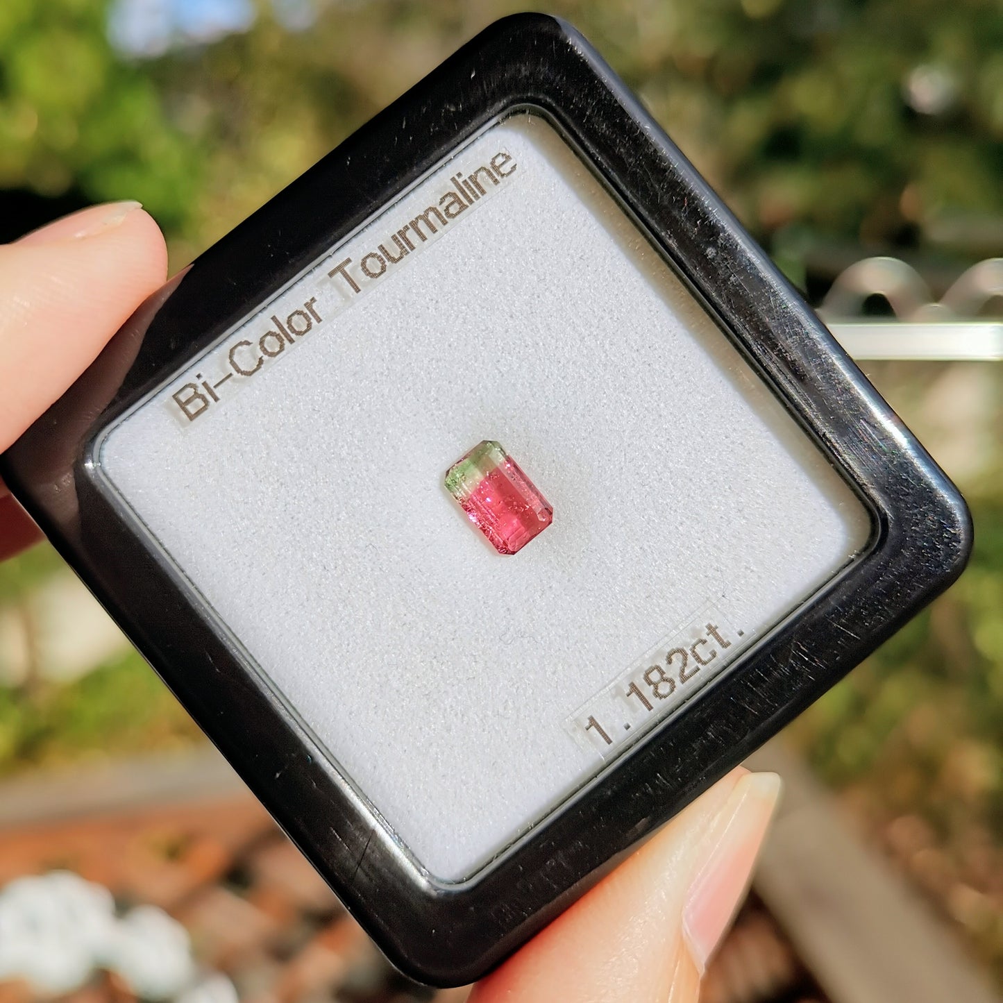 Bi-Color Tourmaline 1.182ct